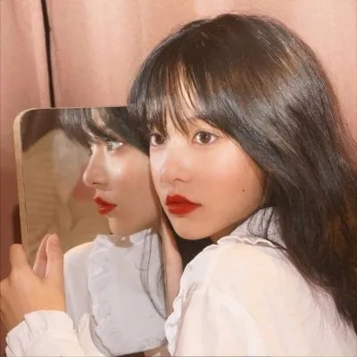 森林：随处可见